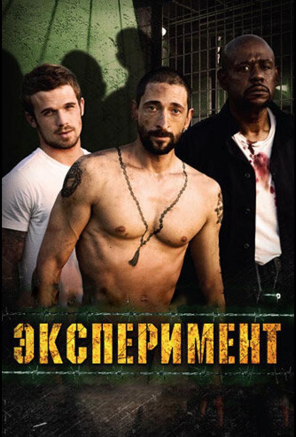 Фильм Эксперимент 2010 года смотреть онлайн с Дэмиеном Ликом и Этаном Коном